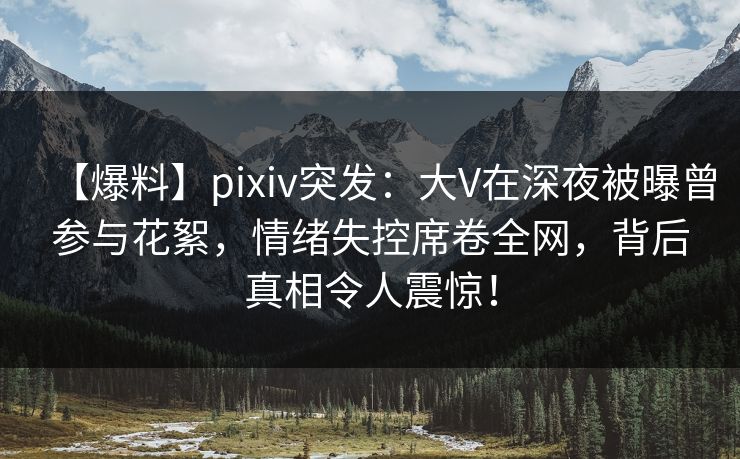 【爆料】pixiv突发：大V在深夜被曝曾参与花絮，情绪失控席卷全网，背后真相令人震惊！  第1张