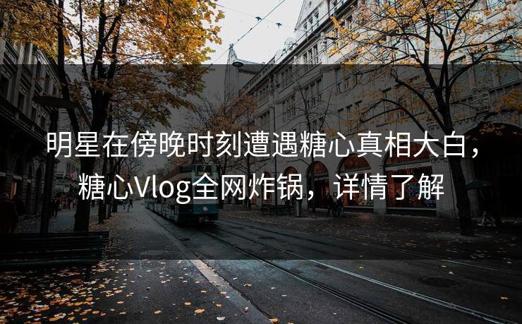 明星在傍晚时刻遭遇糖心真相大白，糖心Vlog全网炸锅，详情了解  第1张