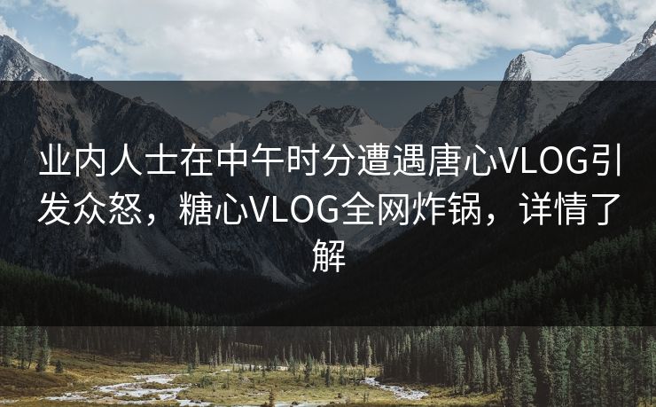 业内人士在中午时分遭遇唐心VLOG引发众怒，糖心VLOG全网炸锅，详情了解  第1张